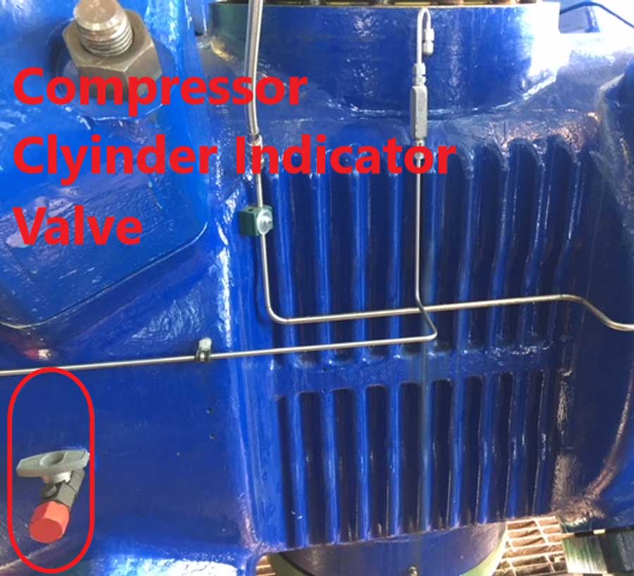 Compressor cylinder indicator valve
